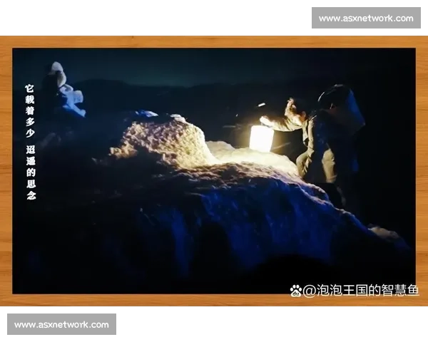 导演视角下的创作变革与风格转换探索 导演视角下的创作变革与风格转换探索